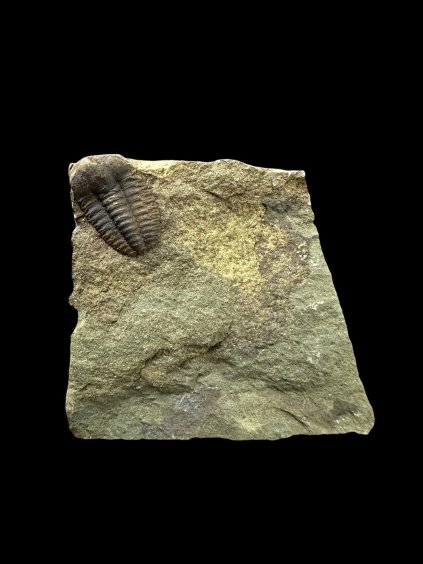 Photoroom 007 20251210 122908