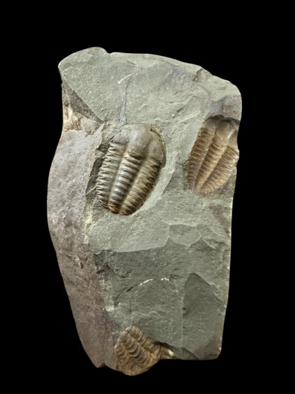 Photoroom 038 20251210 123257