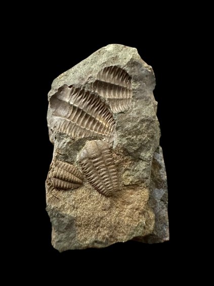 Photoroom 042 20251210 123257