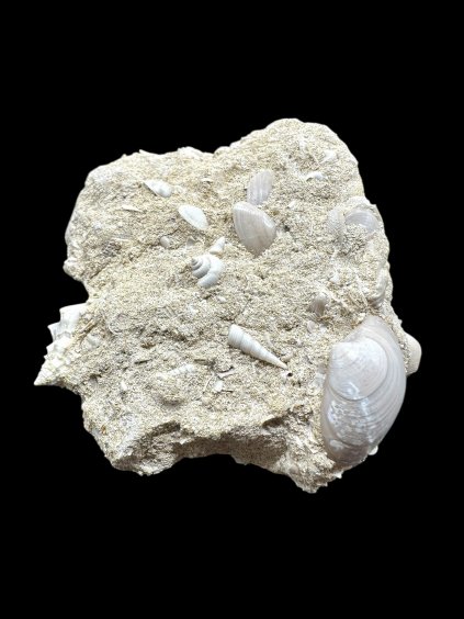 Photoroom 024 20251205 154705