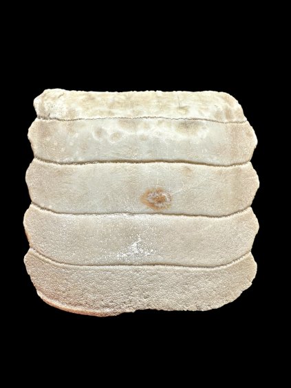 Photoroom 040 20251205 154506