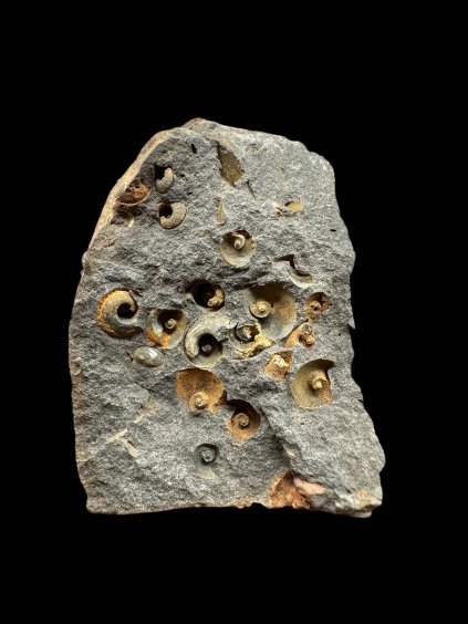 Photoroom 035 20251209 182923