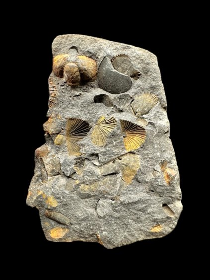 Photoroom 045 20251209 182923