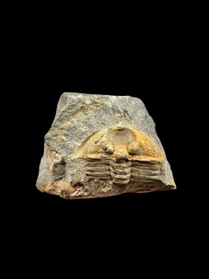 Photoroom 014 20251209 182923