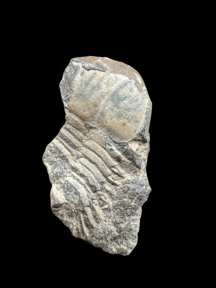 Photoroom 008 20251209 182923