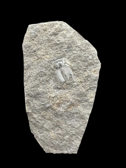 Photoroom 032 20251209 182923