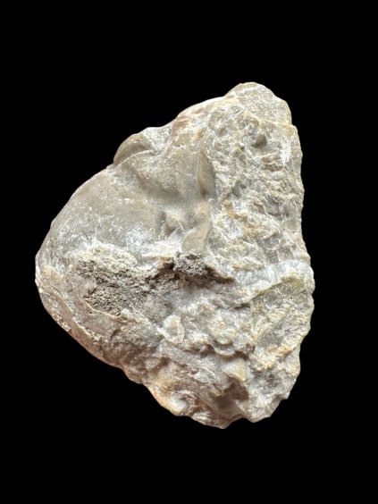 Photoroom 002 20251209 183302