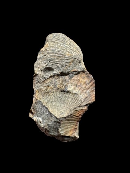 Photoroom 000 20251209 183302