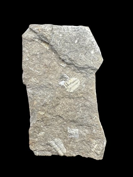 Photoroom 041 20251209 182923