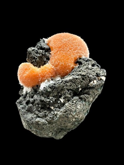 Photoroom 006 20251210 123257