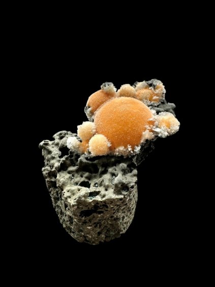 Photoroom 007 20251210 184857