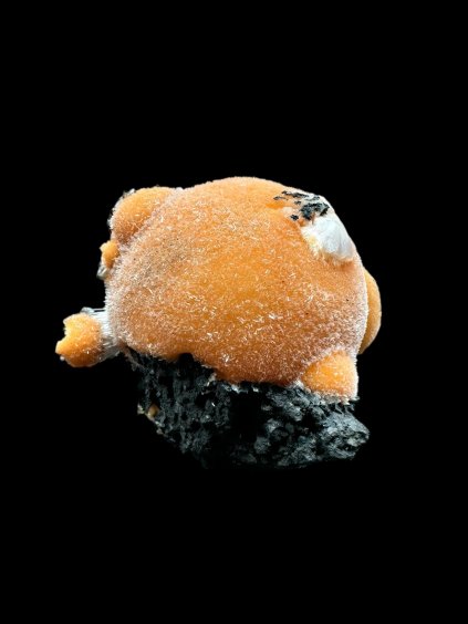 Photoroom 025 20251210 184857