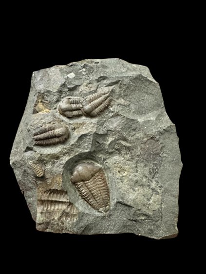 Photoroom 000 20251210 185124