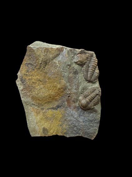 Photoroom 019 20251210 185124