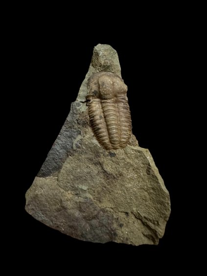 Photoroom 023 20251210 185124