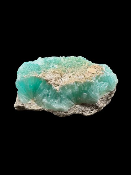 Photoroom 20251211 102712