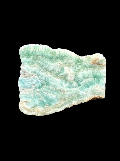 Photoroom 20251211 152320