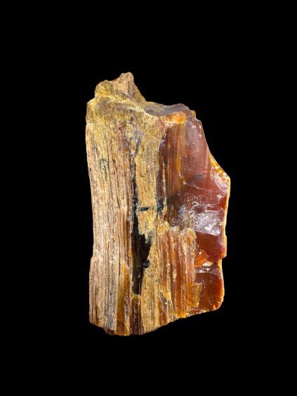 Photoroom 20251211 101758