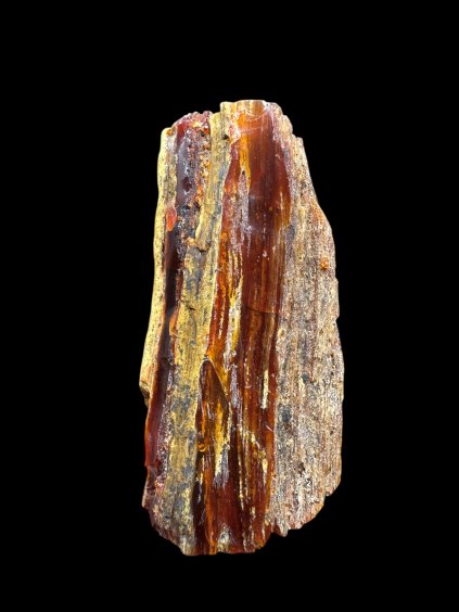 Photoroom 20251211 123426