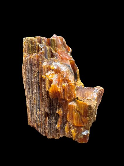 Photoroom 20251211 123535