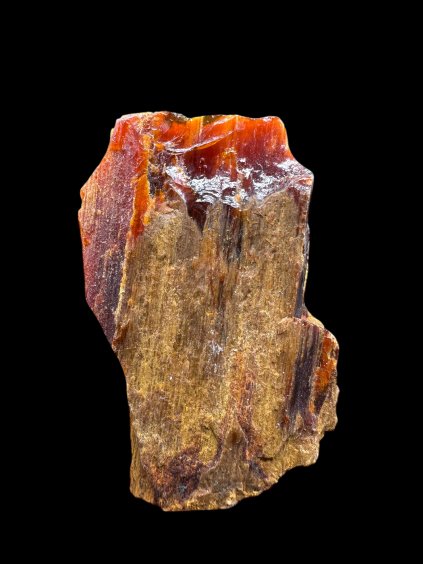 Photoroom 20251211 132225