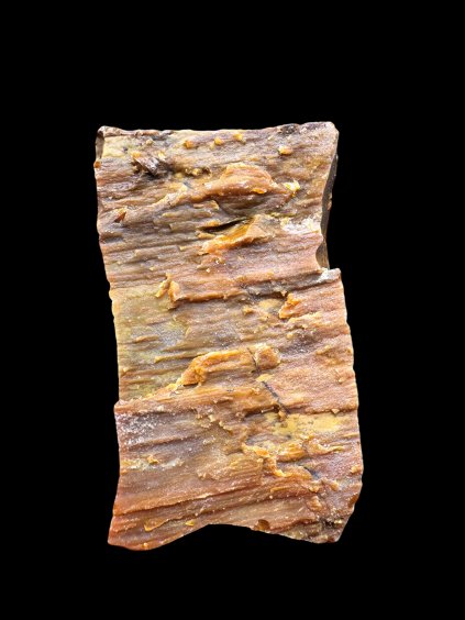 Photoroom 20251211 153657