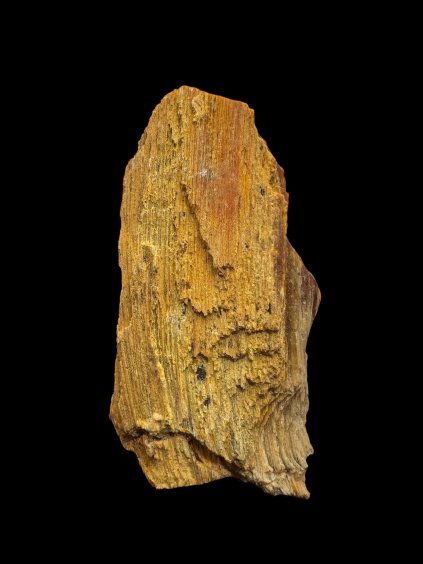 Photoroom 20251211 164735