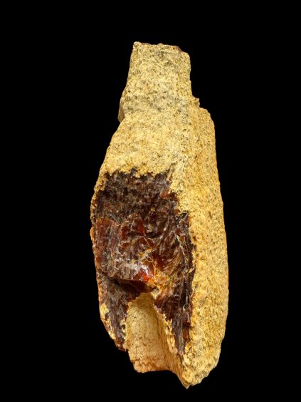 Photoroom 20251211 180927