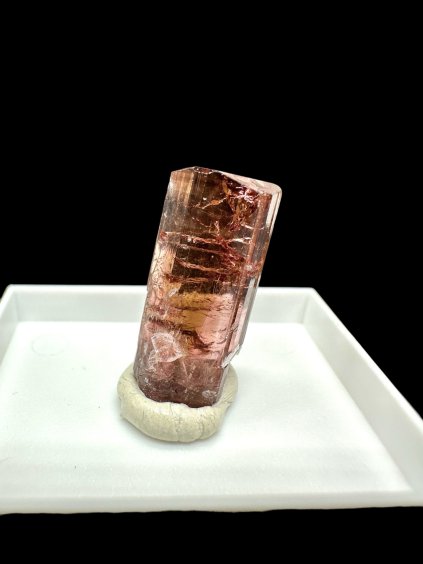 Photoroom 000 20251216 210304