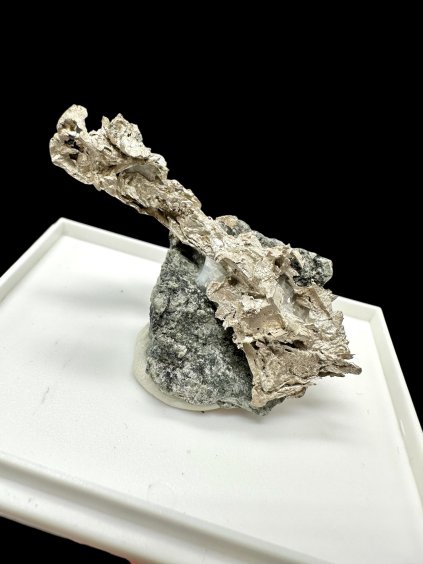 Photoroom 000 20251216 205917