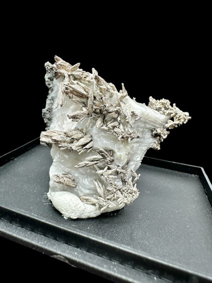 Photoroom 008 20251216 205917