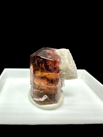 Photoroom 005 20251216 210304