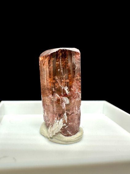 Photoroom 017 20251216 210304