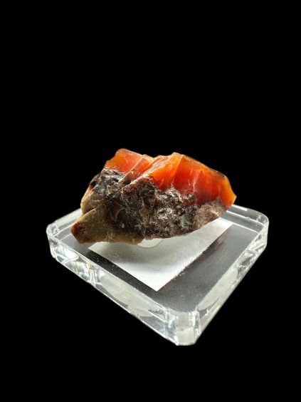 Photoroom 015 20251221 102253