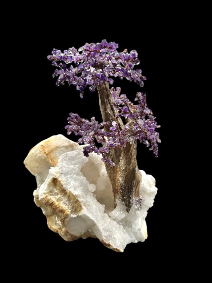 Photoroom 000 20260102 160817