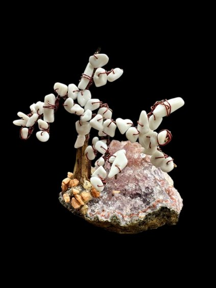 Photoroom 000 20260104 165852