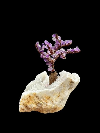 Photoroom 011 20260104 165852