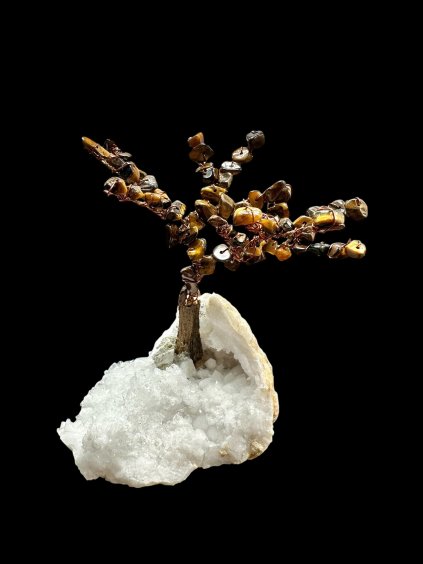 Photoroom 017 20260104 165852