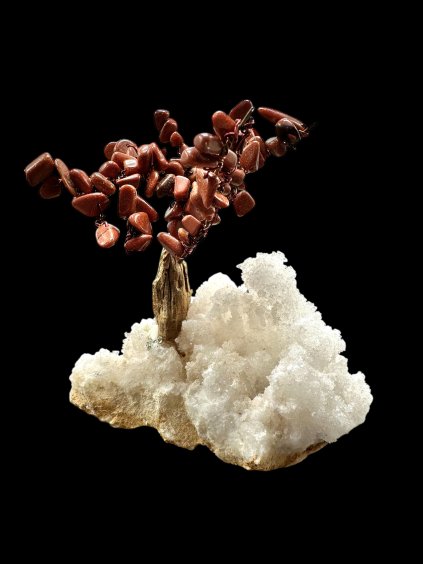 Photoroom 20260105 190204