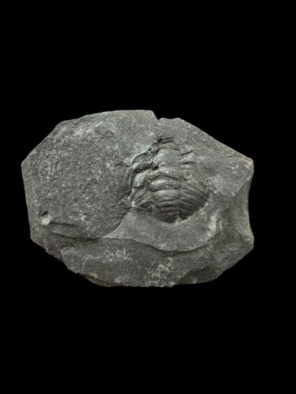 Photoroom 20260105 192302