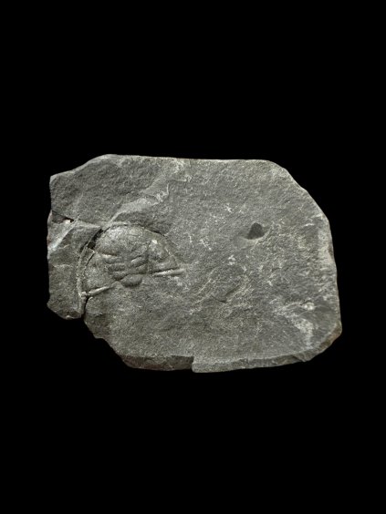 Photoroom 20260105 192402