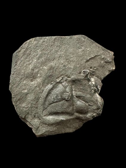 Photoroom 20260105 192539