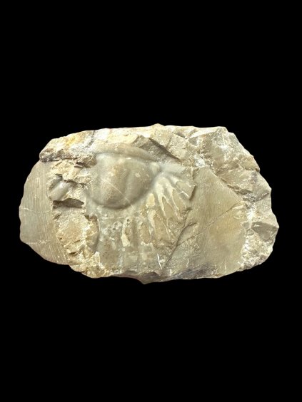 Photoroom 001 20260107 092138