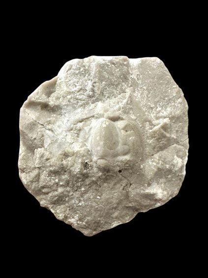 Photoroom 004 20260107 092138