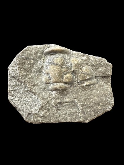 Photoroom 007 20260107 092138