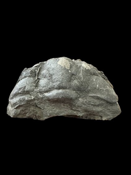 Photoroom 010 20260107 092138