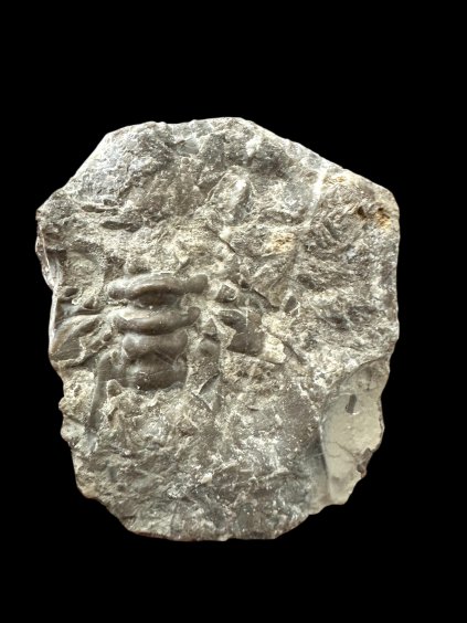 Photoroom 013 20260107 092138