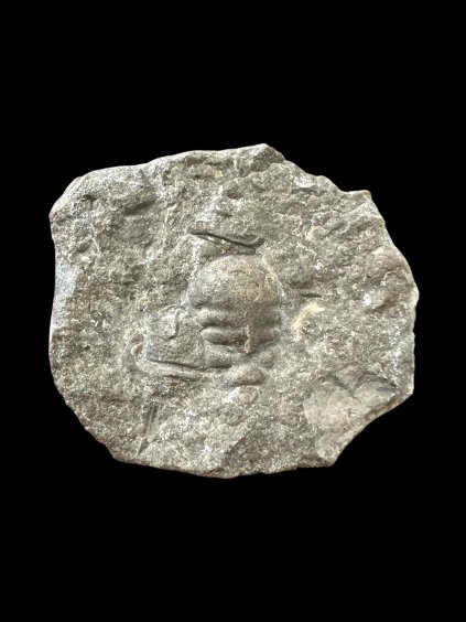 Photoroom 016 20260107 092138