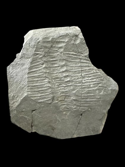 Photoroom 019 20260107 092138