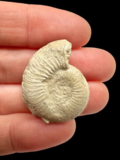 Photoroom 000 20260120 113556